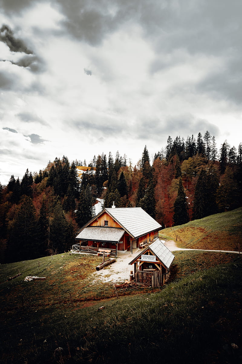 house, building, forest, trees, seclusion, HD phone wallpaper