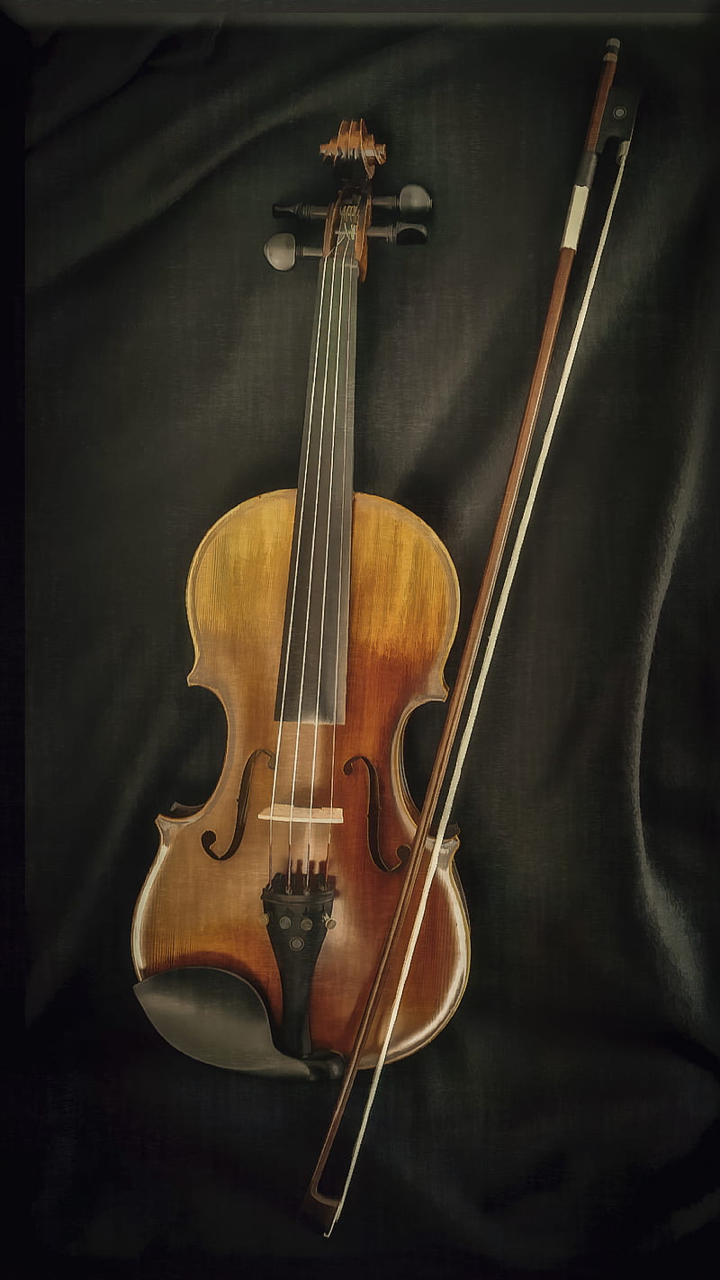 Portrait of a Violin, Terran, fiddle, music, musical instrument, string instrument, strings, HD phone wallpaper