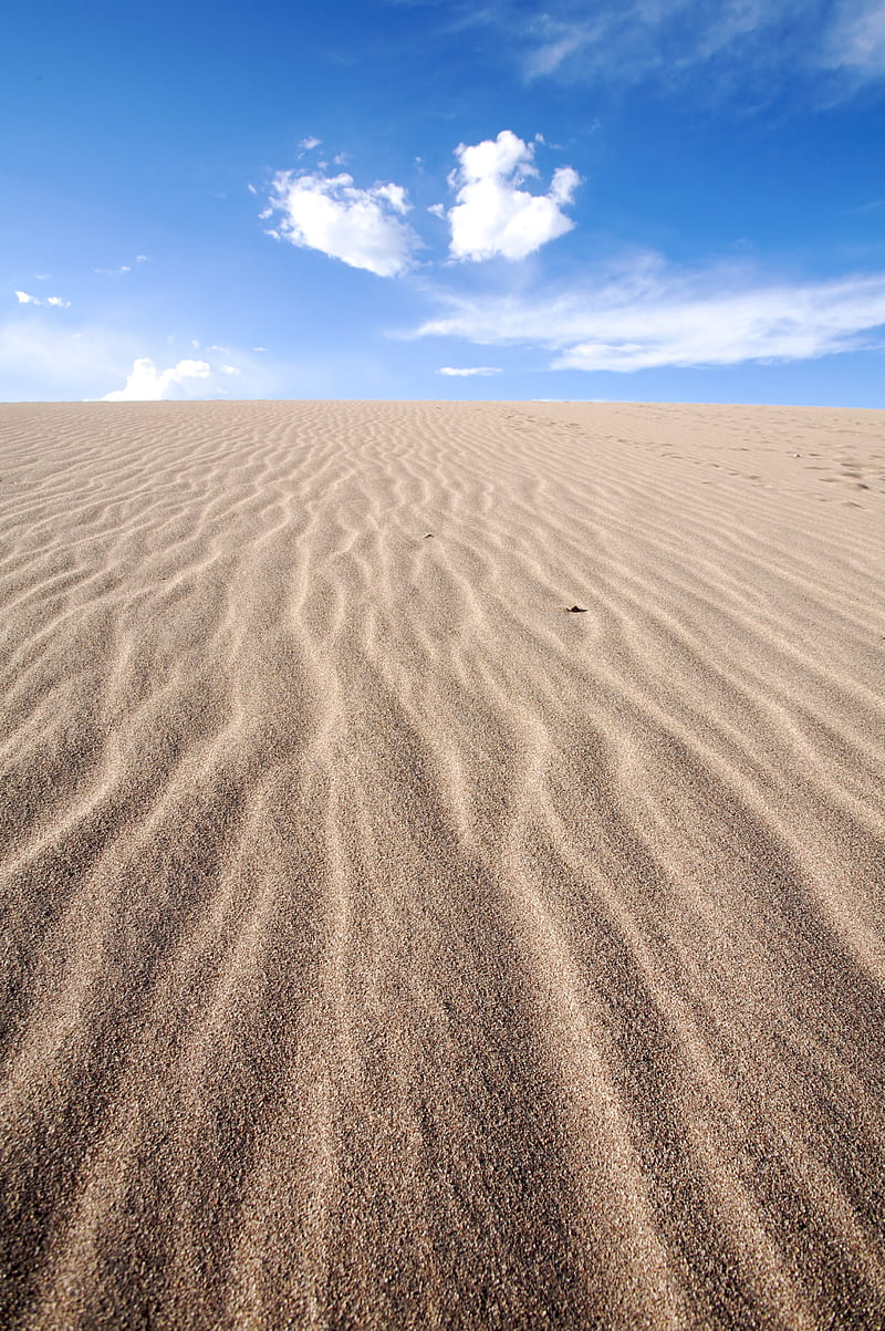 desert, sand, horizon, sky, dunes, HD phone wallpaper
