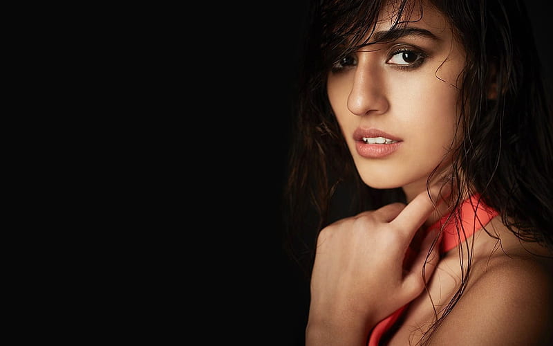Disha Patani, Indian actress, portrait, brunette, Indian fashion model, Bollywood, HD wallpaper