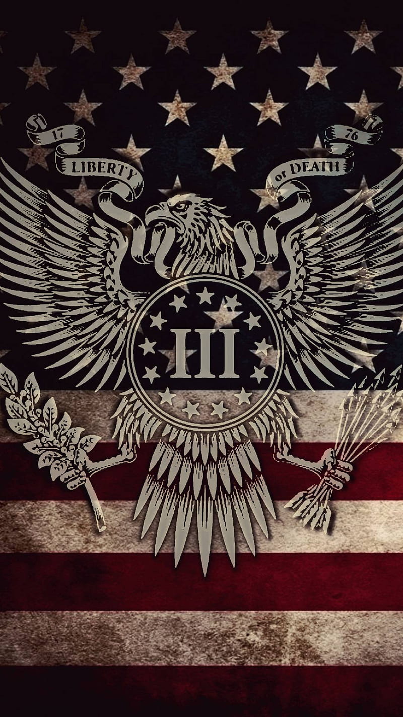 Eagle, third amendment, HD phone wallpaper