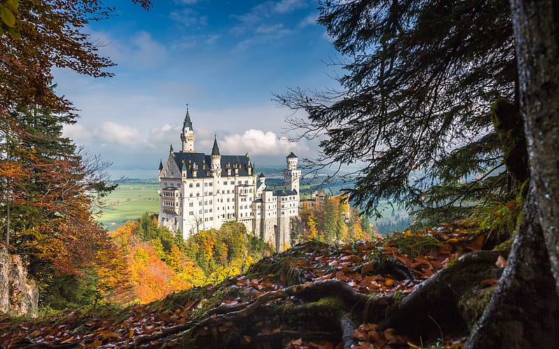 Neuschwanstein Castle, autumn, old castle, Bavaria, Germany, HD wallpaper