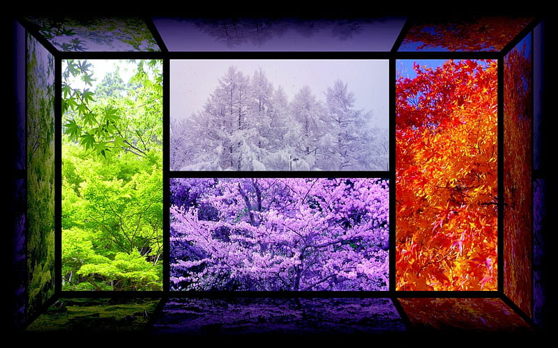 FOUR SEASONS, SPRING, WINTER, AUTUMN, SUMMER, HD wallpaper