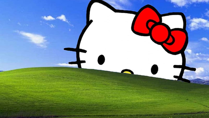 Hello Kitty, Kitty, Hello, cat, bliss, HD wallpaper | Peakpx
