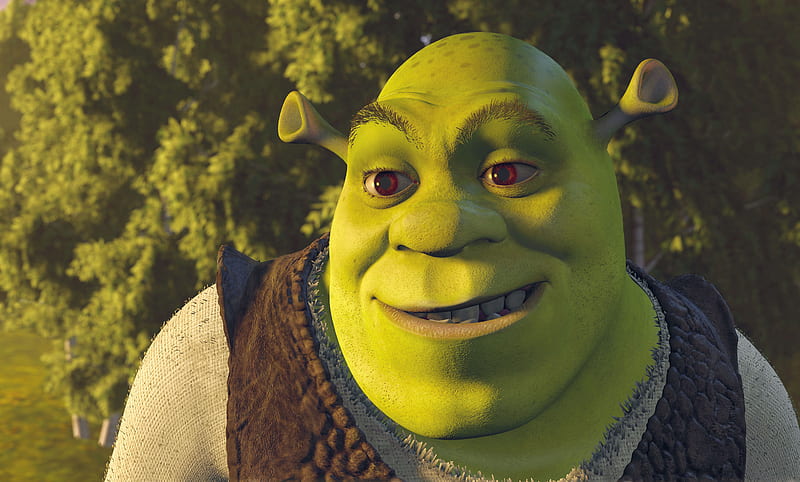 Shrek Face 51300 px, Shrek Meme, HD wallpaper