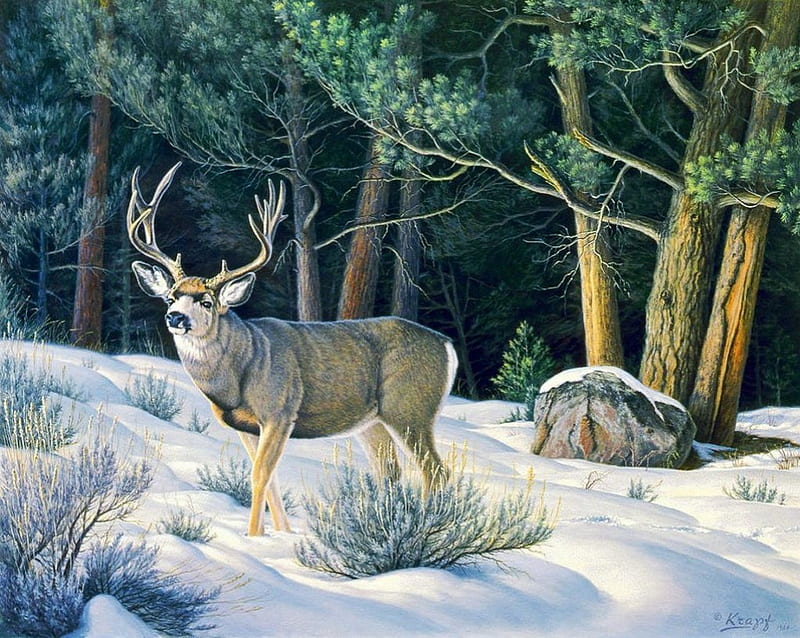 Confrontation, forest, snow, Deer, painting, artwork, winter, HD wallpaper