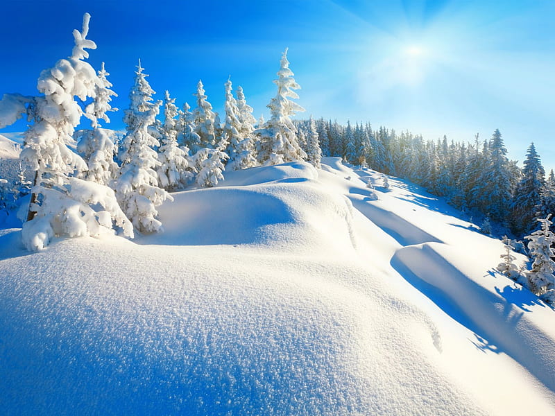 Winter paradise, glow, sun, bonito, mountain, sunrise, forest, lovely, sunlight, sky, trees, ski, winter, paradise, rays, snow, slope, sunshine, landscape, HD wallpaper