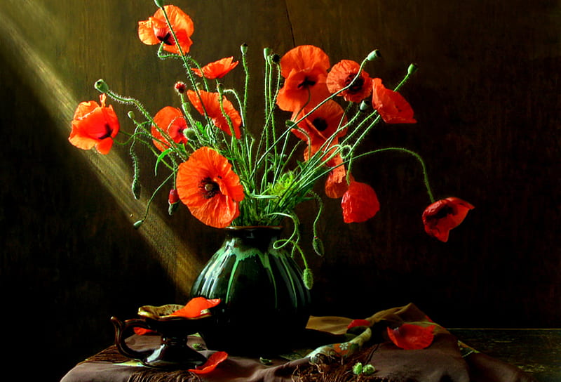 Eternal Summer, table, poppies, vase, green fabric, curtain, brown pottery, leaves, brown tablecloth, green vase, red poppies, flowers, light, red and black, HD wallpaper