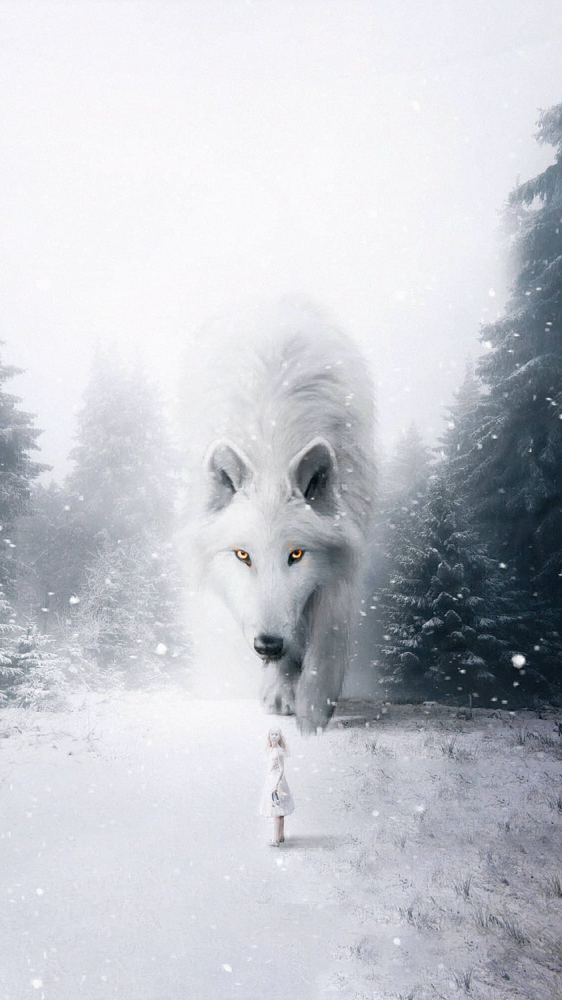 100 White Wolf Wallpapers  Wallpaperscom