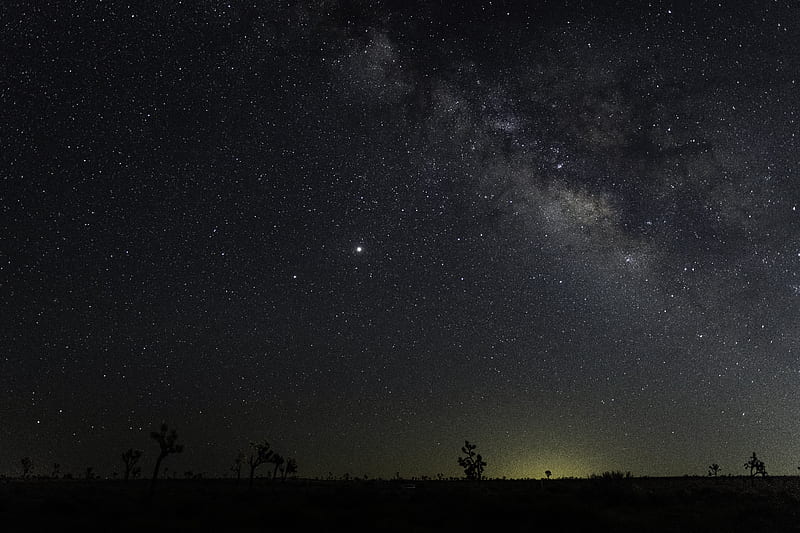 trees, starry sky, stars, night, horizon, HD wallpaper