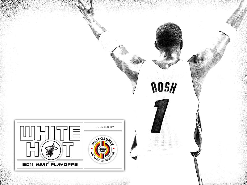 New White Hot-Bosh 01, HD wallpaper