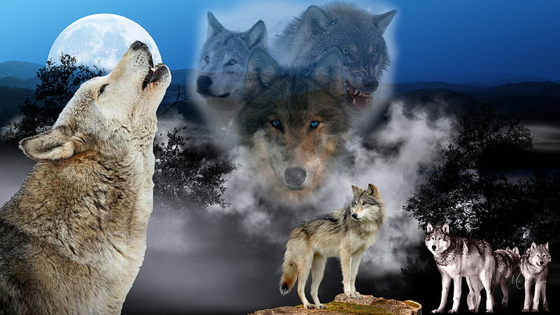 MaDonnas Wolves, lobo, Firefox Persona, collage, sky, trees, spirits, loup, dark, full moon, mountains, wolf, wolves, HD wallpaper