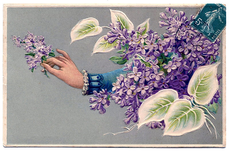 Vintage card, lilac, purple, hand, flower, spring, pink, card, blue, vintage, HD wallpaper