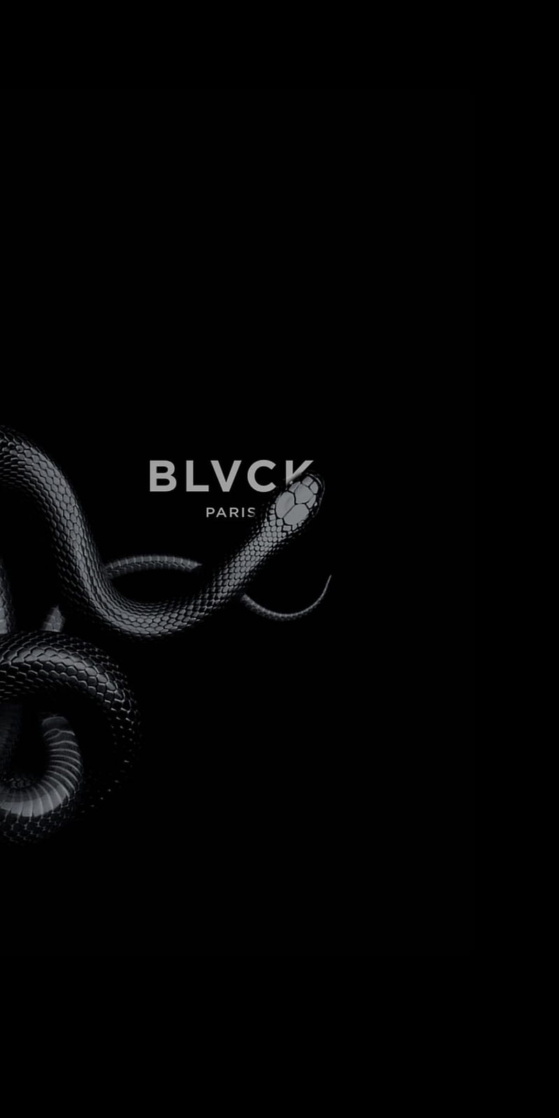 Snake, black, HD phone wallpaper