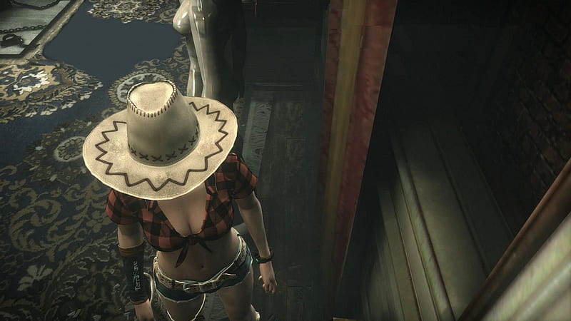 Maverick Cowgirl, games, female, models, hats, fun, technology, video, women, saloon, cowgirls, girls, western, style, HD wallpaper