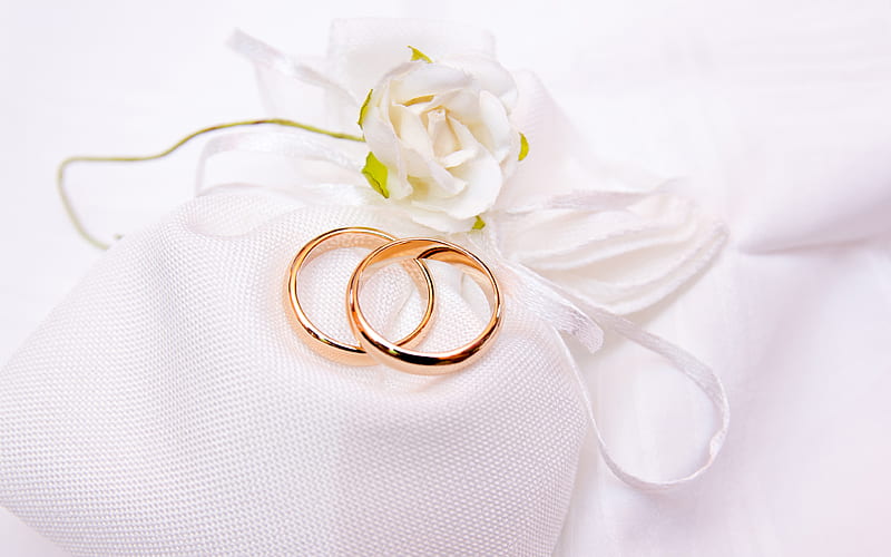 wedding rings gold rings, wedding, wedding concepts, decorations, HD wallpaper