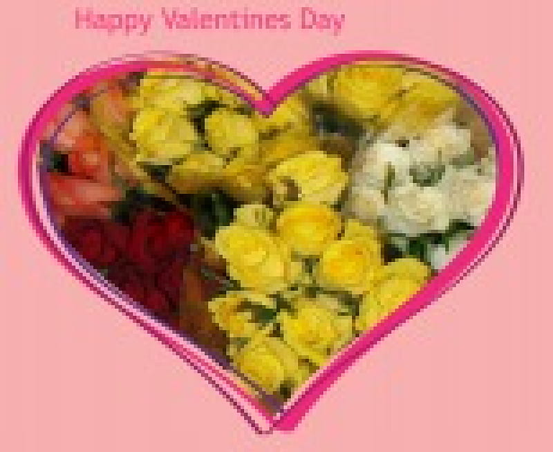 Happy Valentines Day, pretty, yellow, card, bridesmaid, friendship, love, bunch, flowers, valentines day, romance, shellandshilo, gift, flora, happy, editing, heart, garden, red, gardening, rose buds, Nexus, graphy, flower girl, pink, Picadilo, creativity, fun, wedding, roses, copyright , bouquet, nature, horticulture, cream, HD wallpaper