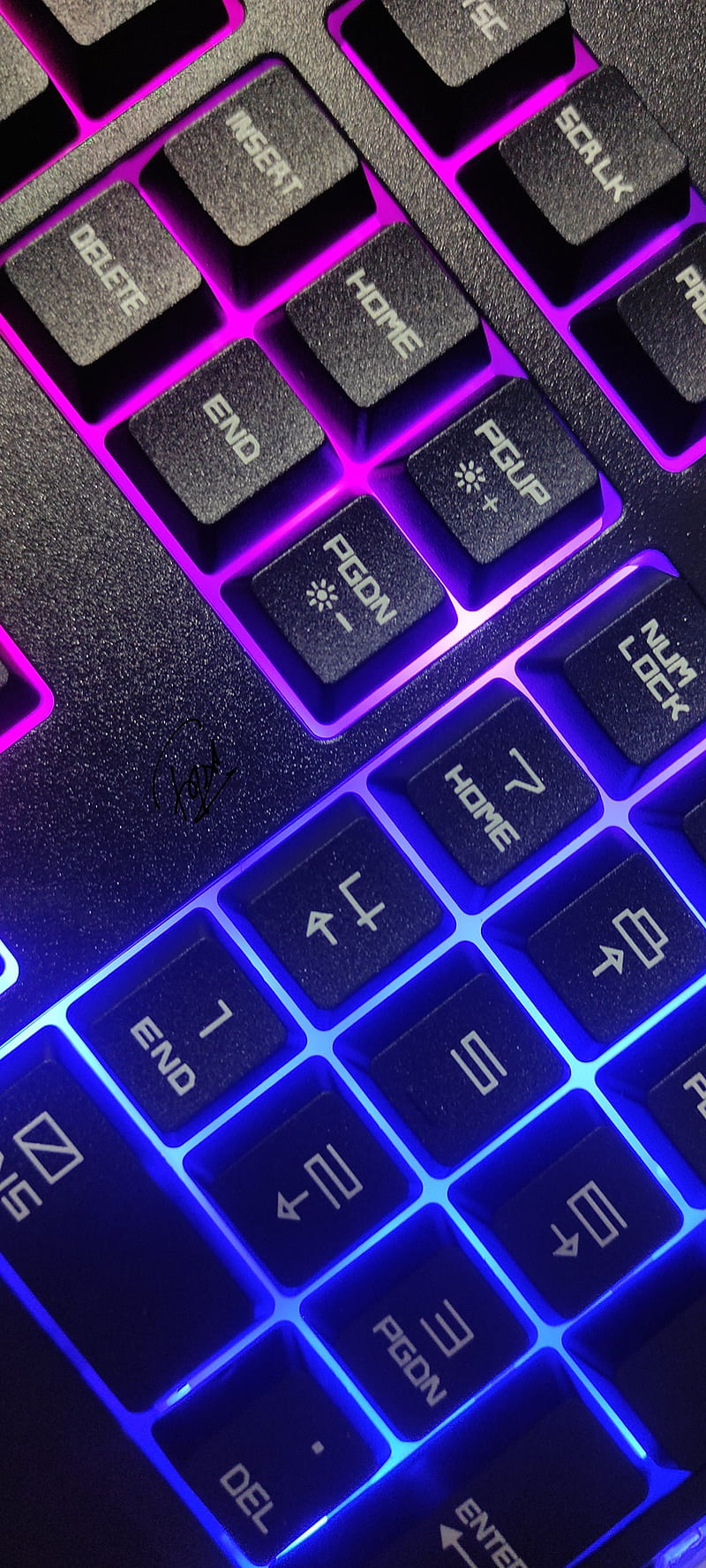 Laptop, keys, code, programming, purple, HD phone wallpaper