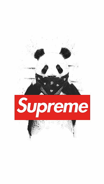 SUPREME, white, oso panda, parisred, HD phone wallpaper