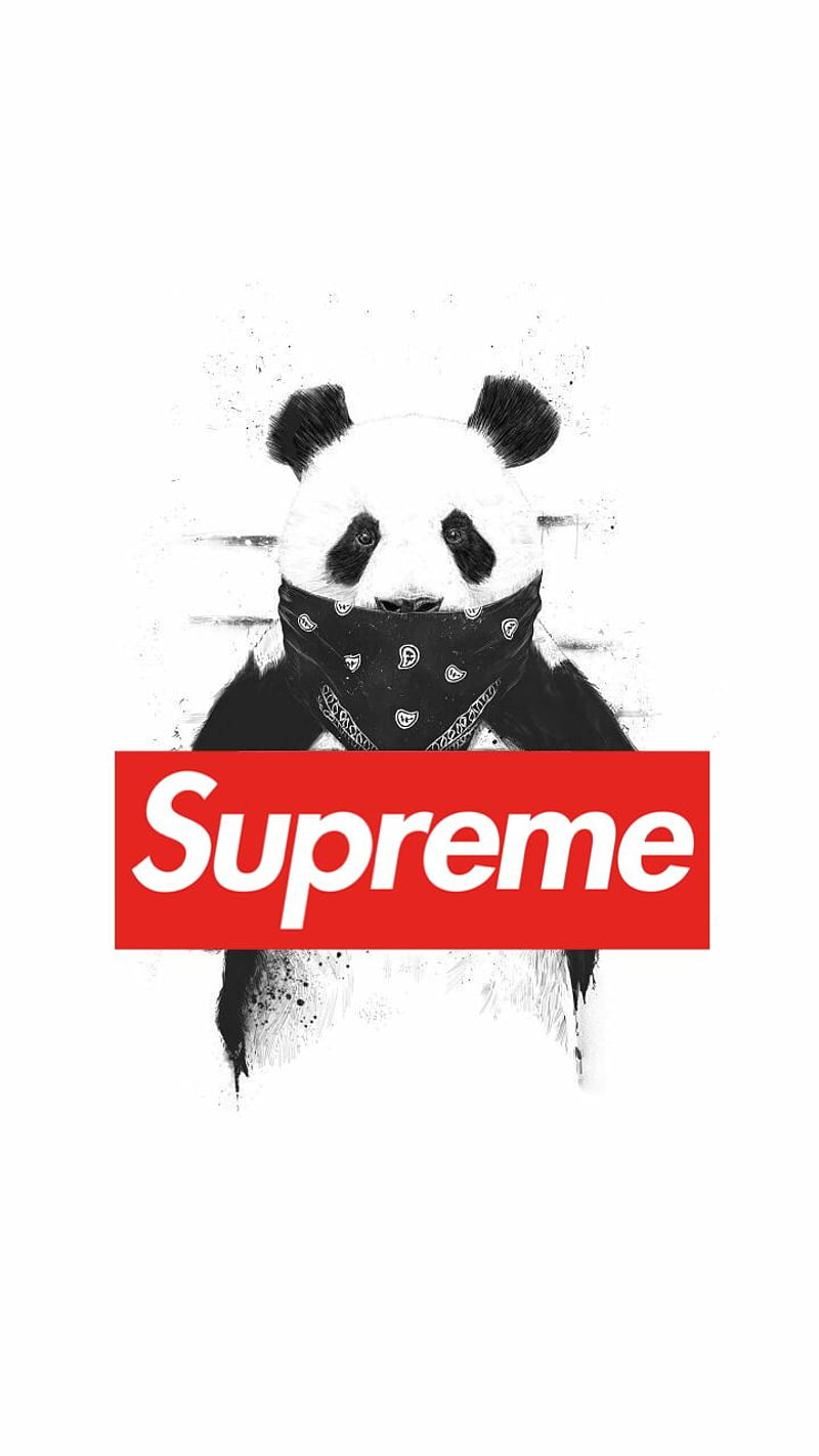 Supreme Bear wallpaper by creme_brulee - a2 - Free on ZEDGE