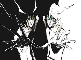 Ulquiorra Cifer, anime, splitting, Bleach, Kurosaki Ichigo, Espada -  wallpaper #63018 (2429x1326px) on