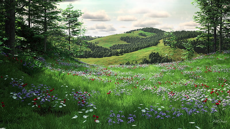 Meadow Mountains, wild flowers, firefox persona, spring, trees, sky, clouds, mountain, summer, hill, field, HD wallpaper