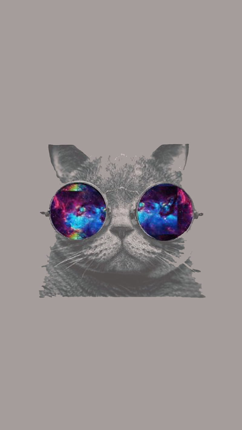 Cool Kitty, background, bybe, cat, galaxy, hipster, kitten, kitty, sunglasses, HD phone wallpaper