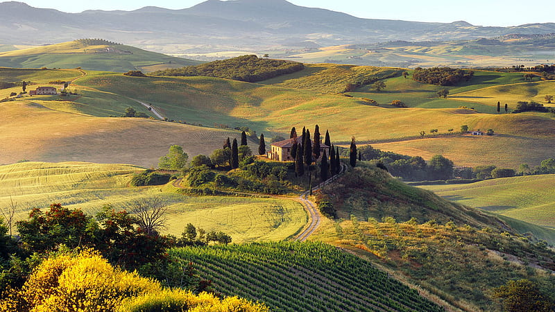 Tuscan Summer, hills, autumn, sun, farms, bonito, trees, valley, green, mountains, cypress, summer, nature, fields, pasture, italy, tuscany, HD wallpaper