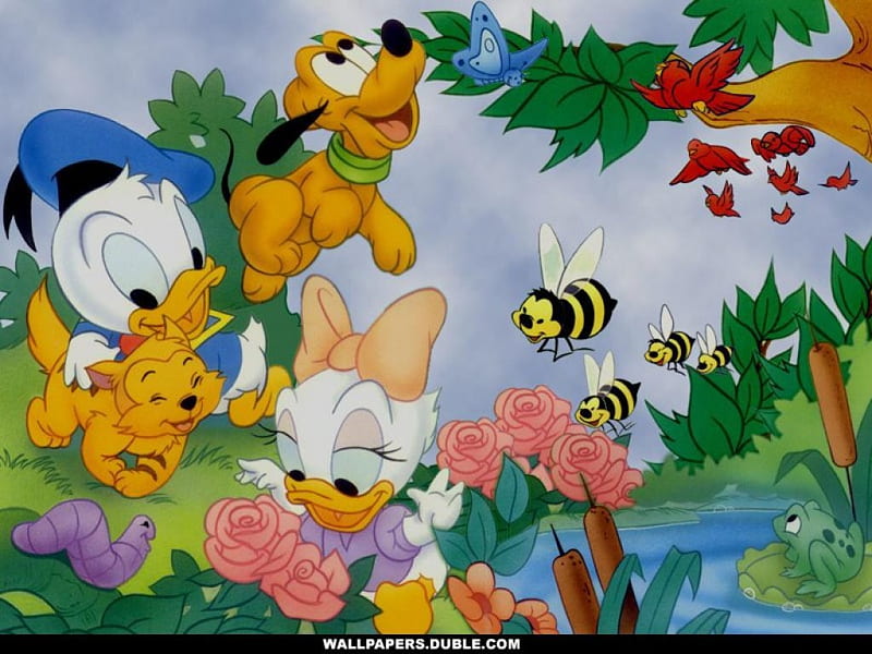 Donald & daisy bebés, dibujos animados, animación, walt disney,  animaciones, Fondo de pantalla HD | Peakpx