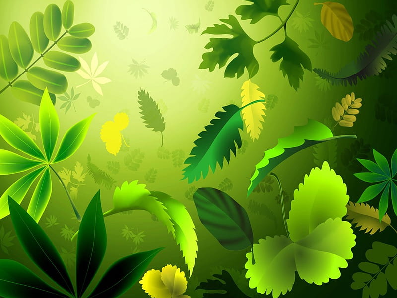 HD green leaves wallpapers
