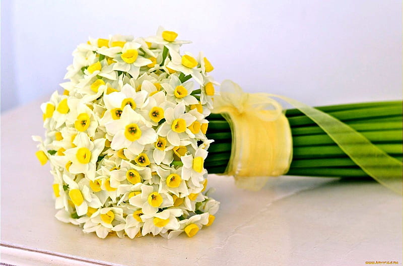 Spring bouquet, bouquet, narcissus, flowers, yellow, spring, te a te, HD wallpaper