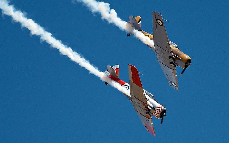 WWII British Harvards ( AKA Texans in USA ), Harvards, Military, Aircraft, Flying, HD wallpaper