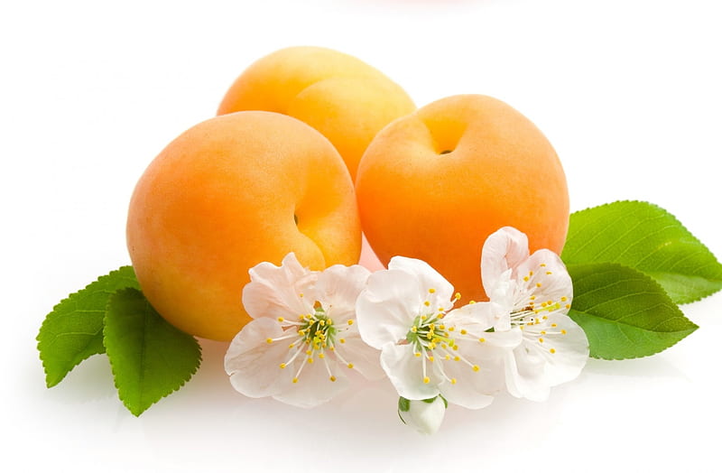Apricots, orange, food, yellow, sweet, dessert, fruit, green, apricot, summer, flower, white, HD wallpaper