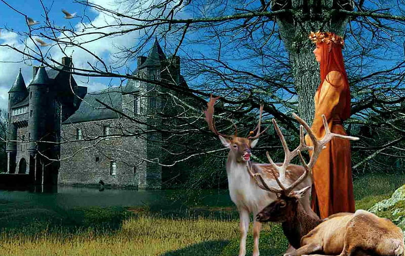 Princess and Deer, bonito, woman, deer, graphy, fantasy, girl digital, hop, castle, princess, HD wallpaper