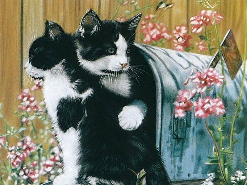 Rural Route, art, black and white, black, flowers, mailbox, white, pink, cats, blue, HD wallpaper