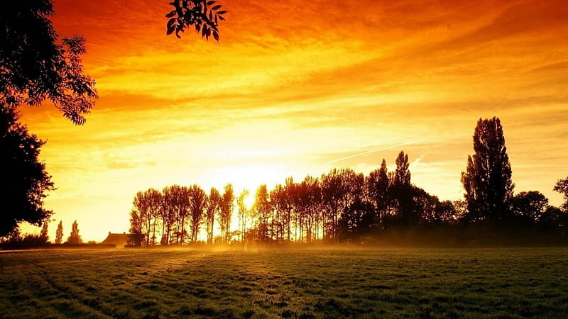 sun rising over a farm, farm, fields, sunrise, trees, fog, HD wallpaper