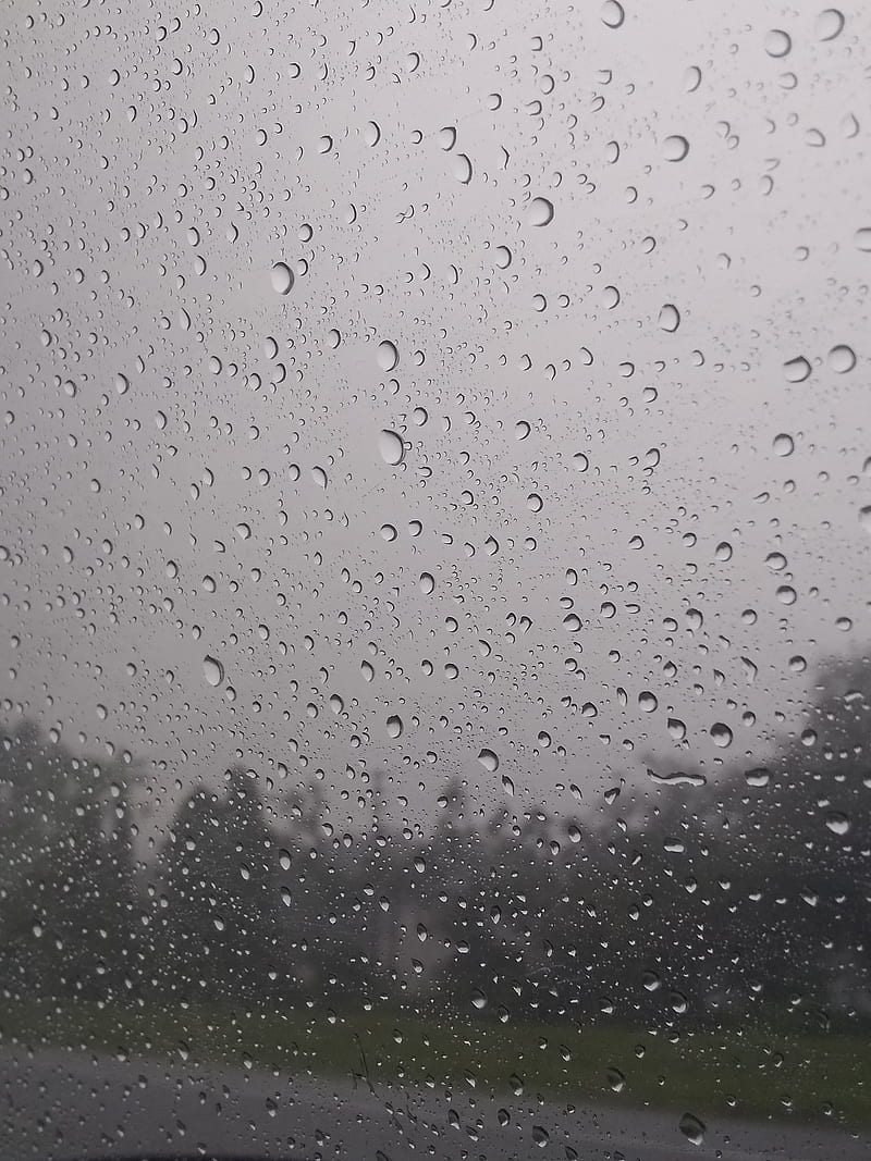 Dull Day, rain, raining, HD phone wallpaper