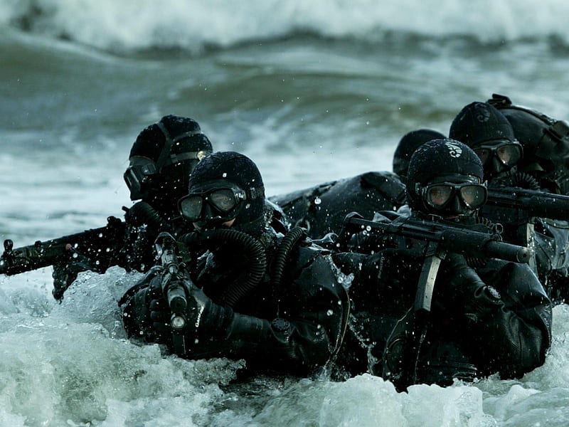 Seals, guerra, water, target, blackops, HD wallpaper