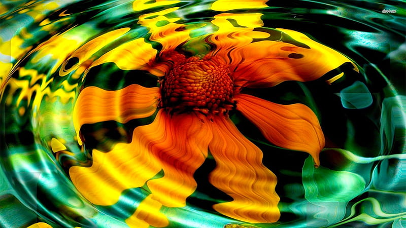 Underwater, colorful, underneath, water, ripples, flower, HD wallpaper