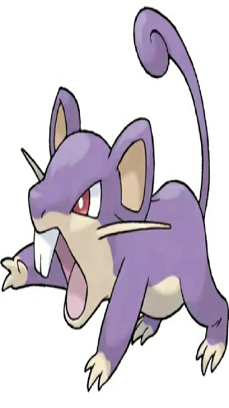 Rattata, pokemon, HD mobile wallpaper | Peakpx