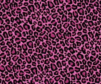 Leopard Print Pink Wallpapers on WallpaperDog