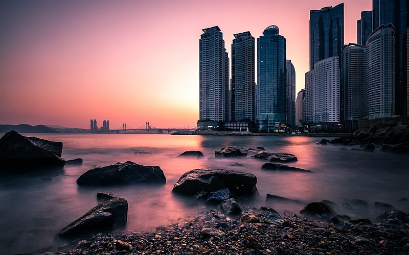 Busan, Dongbaek Park, sunset, bay, skyscrapers, modern architecture, South Korea, HD wallpaper