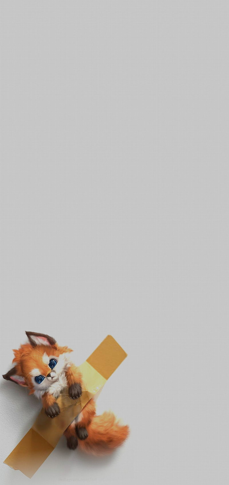 Band aid, cute, fox, HD phone wallpaper