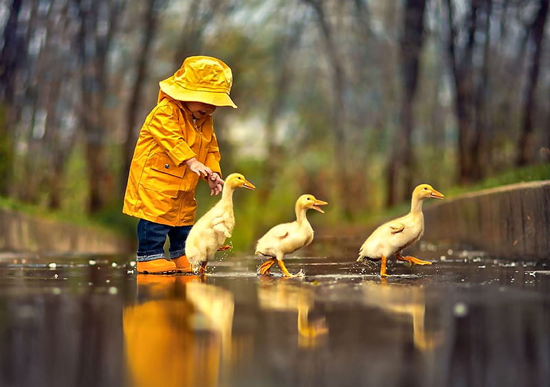 Rainy Day Friends F2Cmp, beautiful, animal, graphy, boy, bird, avian ...