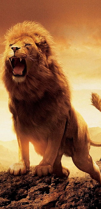 Download The Chronicles Of Narnia Aslan Art Wallpaper | Wallpapers.com