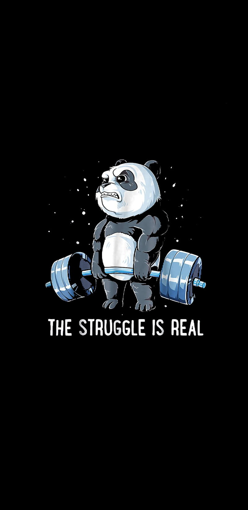 Panda on Swole, motivation, workout, fit, fitness, panda, work it, swole, gains, HD phone wallpaper