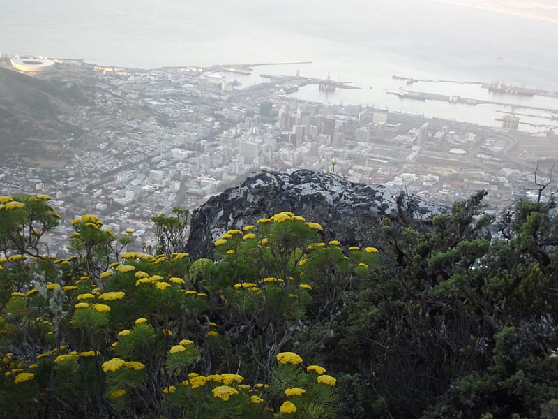 Cape Town, ecology, city, Mountain, nature, technology, Table mountain, HD wallpaper