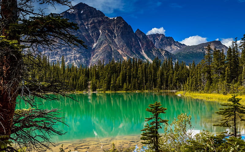 Clear Turquoise Lake, Canada, mountain, forest, Jasper National Park ...