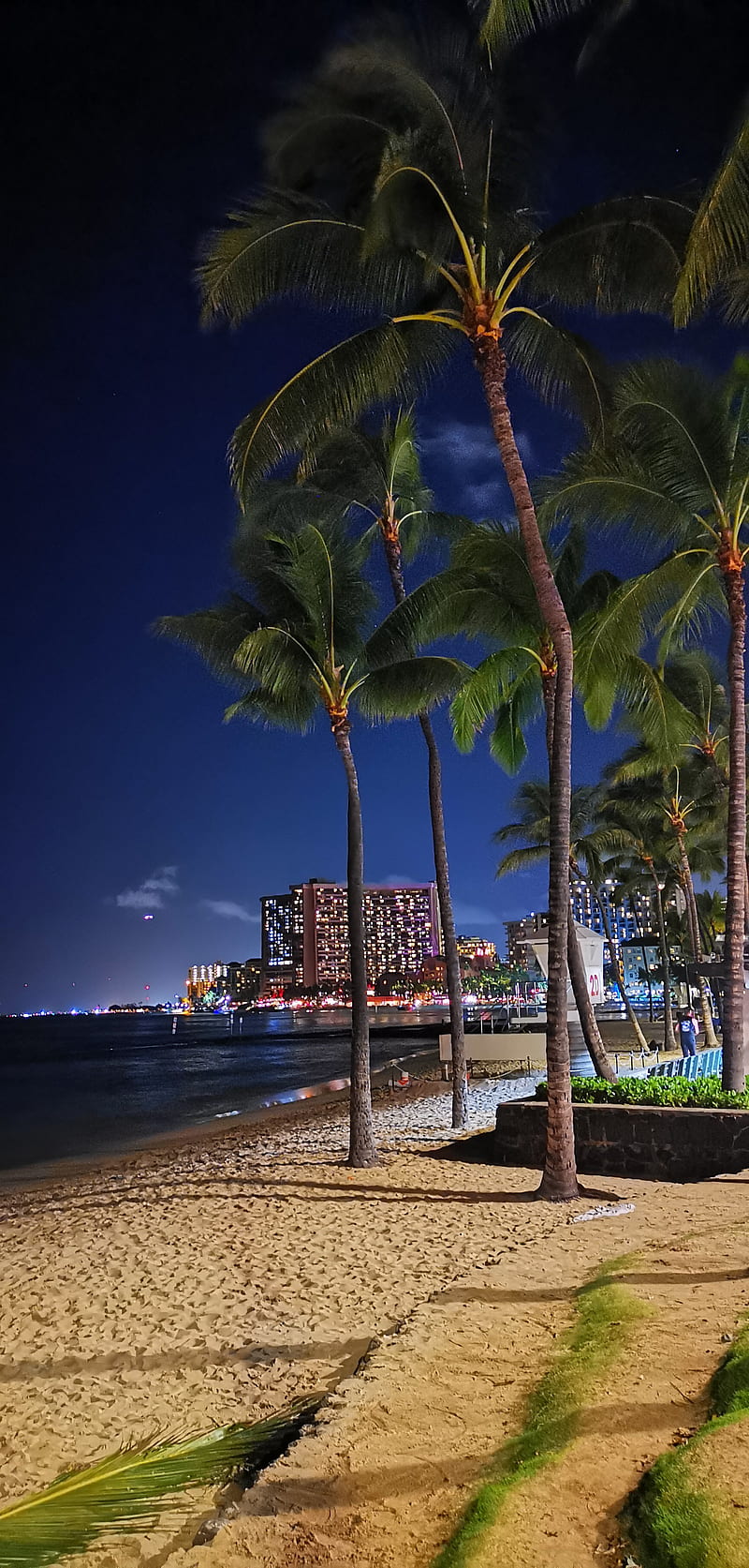 Honolulu, evening, hawaii, palm, HD phone wallpaper | Peakpx