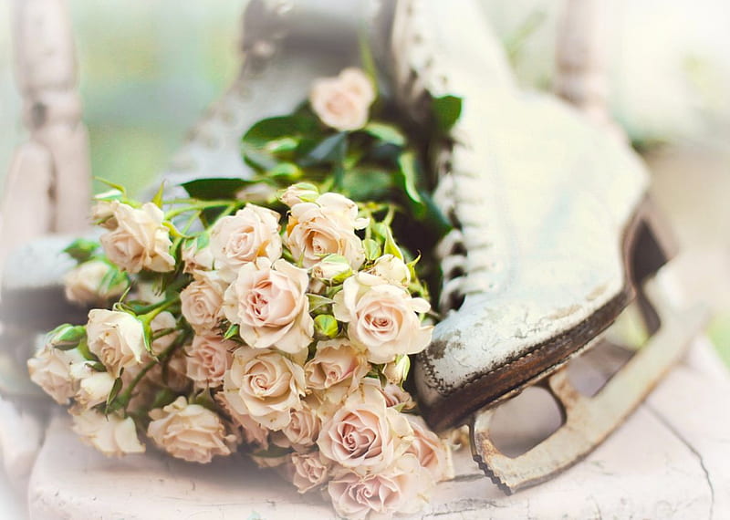 Still life, pretty, rose, bonito, ice skates, graphy, nice, flowers, beauty, harmony, amazing lovely, soft, delicate, roses, elegantly, cool, bouquet, flower, great, shoes, HD wallpaper